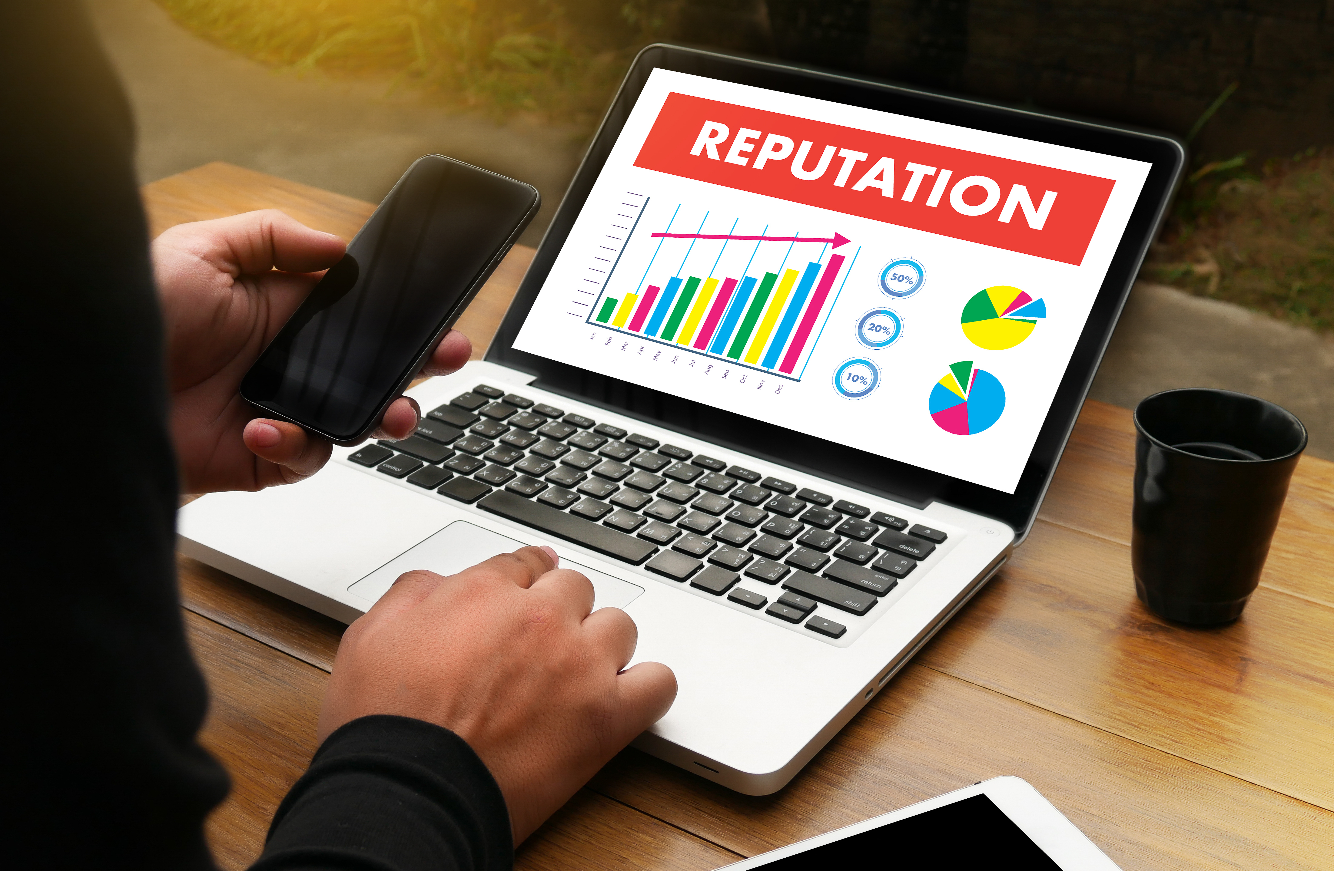 Image of man on laptop looking at reputation chart